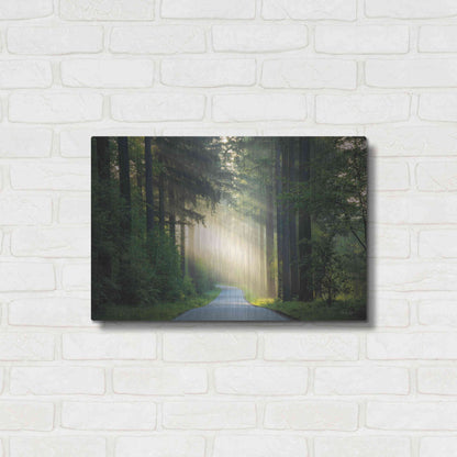 Luxe Metal Art 'The Road' by Martin Podt, Metal Wall Art,24x16