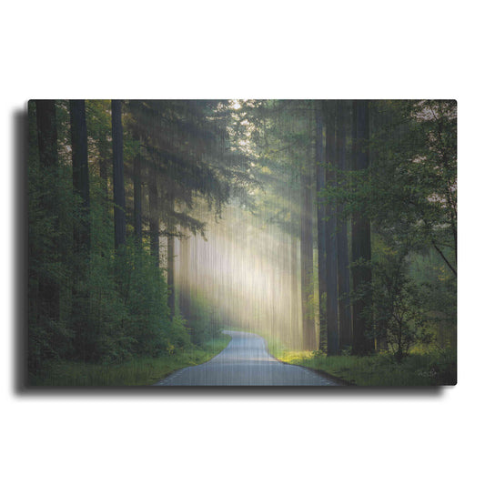 Luxe Metal Art 'The Road' by Martin Podt, Metal Wall Art