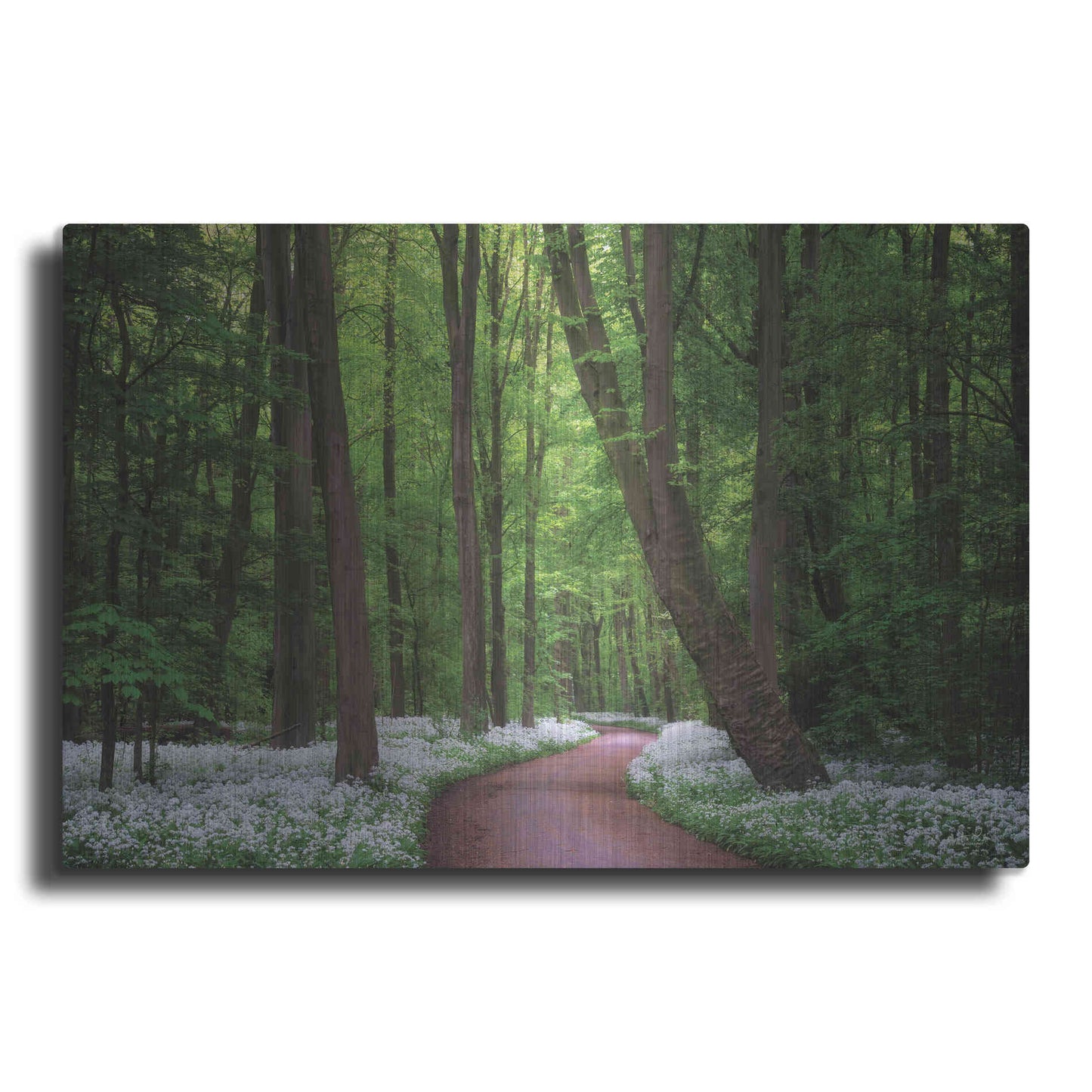 Luxe Metal Art 'Fragrant Road' by Martin Podt, Metal Wall Art