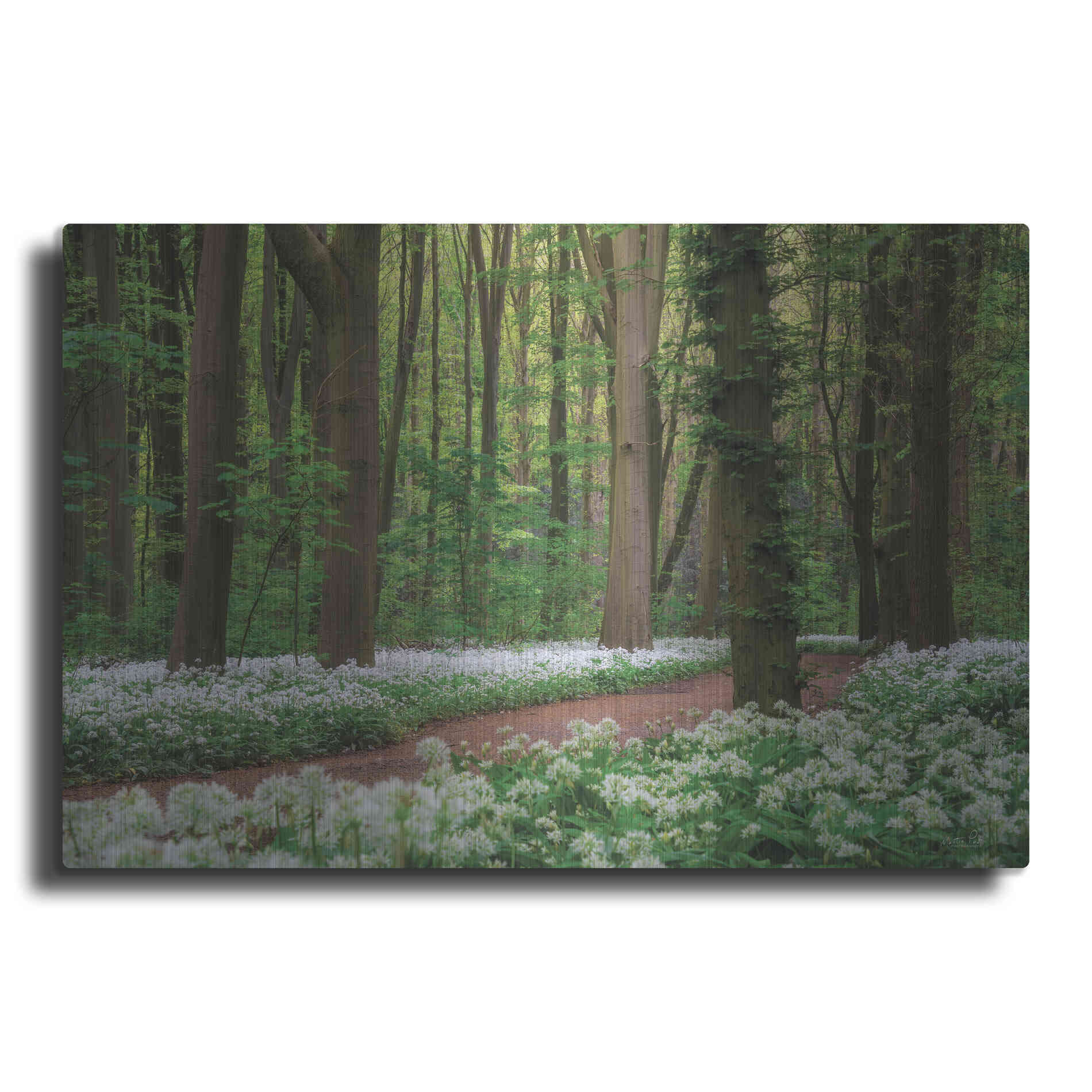 Luxe Metal Art 'White Carpet' by Martin Podt, Metal Wall Art