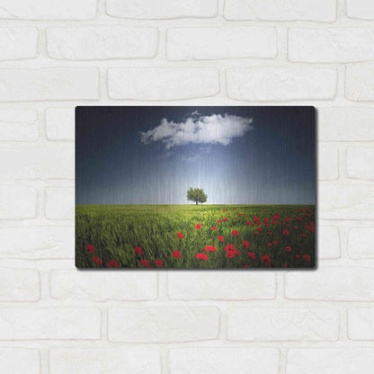 Luxe Metal Art 'Lone Tree in a Poppy Field', Metal Wall Art,16x12