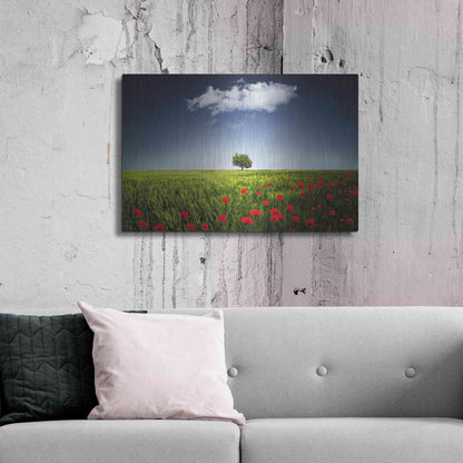 Luxe Metal Art 'Lone Tree in a Poppy Field', Metal Wall Art,36x24