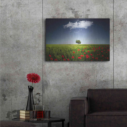 Luxe Metal Art 'Lone Tree in a Poppy Field', Metal Wall Art,36x24