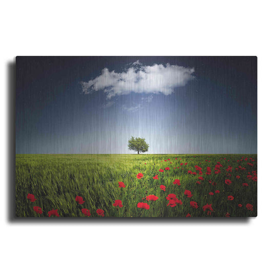 Luxe Metal Art 'Lone Tree in a Poppy Field', Metal Wall Art