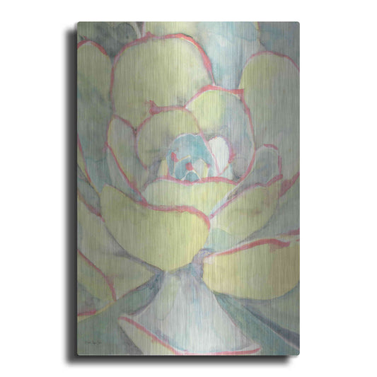 Luxe Metal Art 'Succulent Bloom 2' by Stellar Design Studio, Metal Wall Art