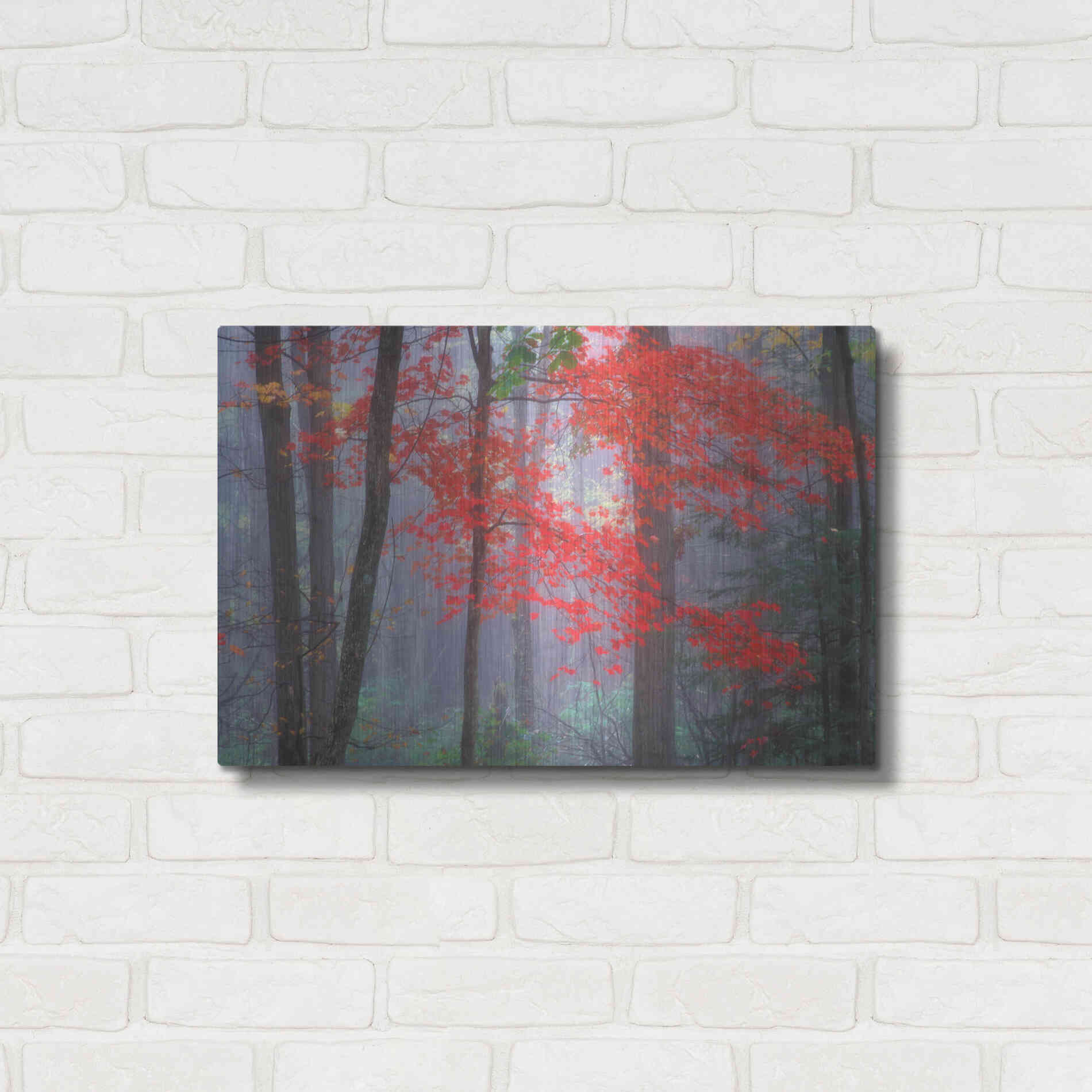 Luxe Metal Art 'Splash of Red' by Patrick Zephyr, Metal Wall Art,24x16