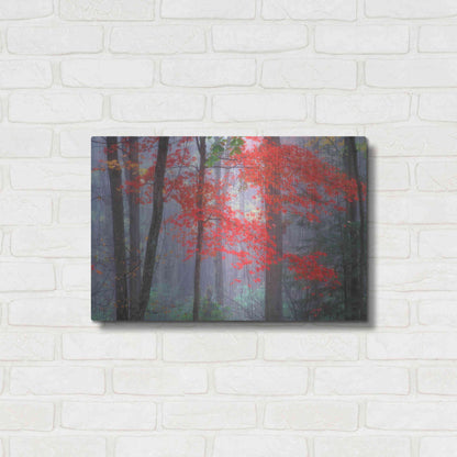 Luxe Metal Art 'Splash of Red' by Patrick Zephyr, Metal Wall Art,24x16