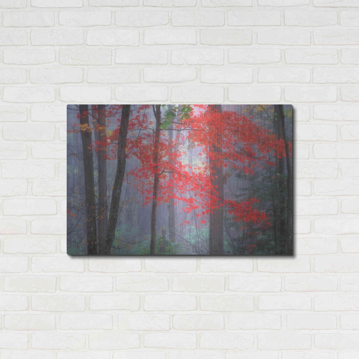 Luxe Metal Art 'Splash of Red' by Patrick Zephyr, Metal Wall Art,36x24