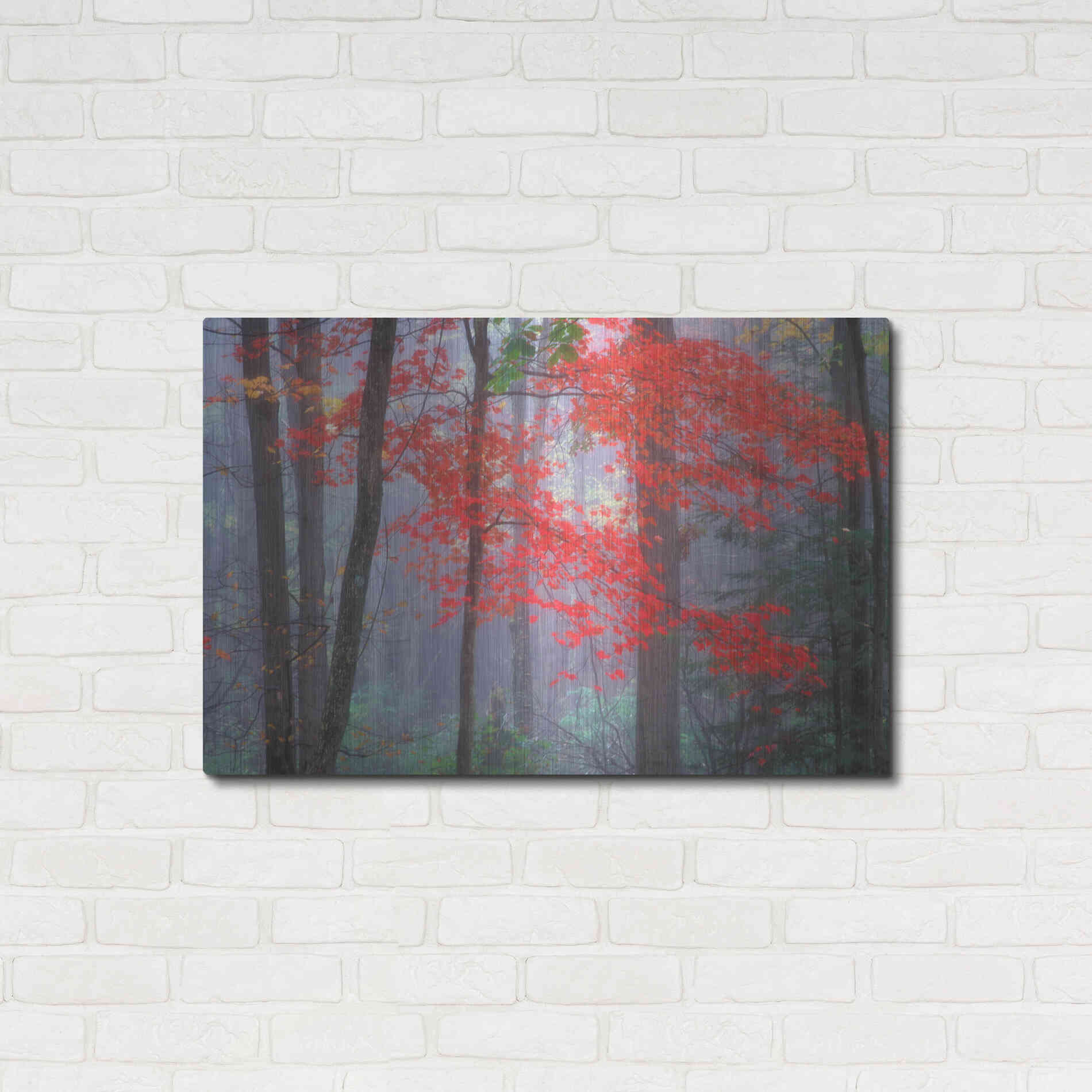 Luxe Metal Art 'Splash of Red' by Patrick Zephyr, Metal Wall Art,36x24