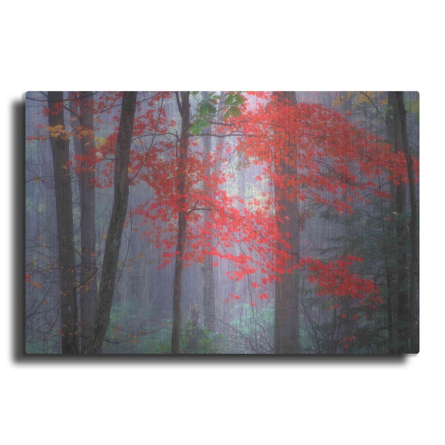 Luxe Metal Art 'Splash of Red' by Patrick Zephyr, Metal Wall Art