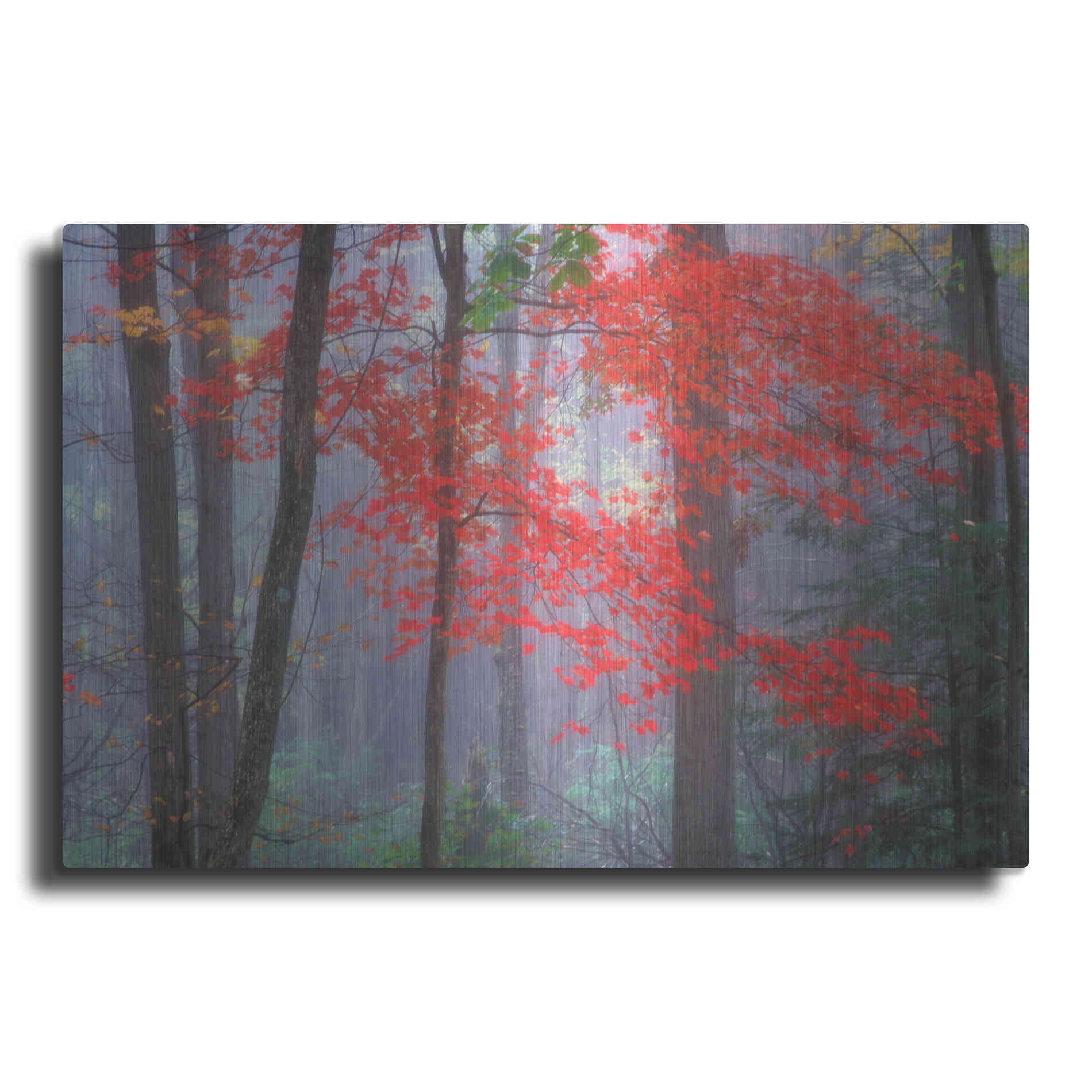 Luxe Metal Art 'Splash of Red' by Patrick Zephyr, Metal Wall Art