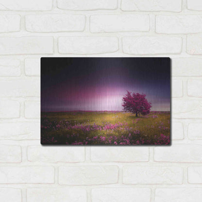 Luxe Metal Art 'Pink Nights', Metal Wall Art,16x12