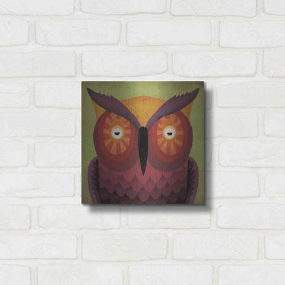 Luxe Metal Art 'Owl Wow' by Ryan Fowler, Metal Wall Art,12x12