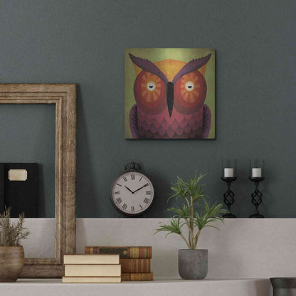 Luxe Metal Art 'Owl Wow' by Ryan Fowler, Metal Wall Art,12x12