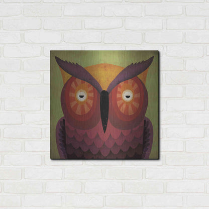 Luxe Metal Art 'Owl Wow' by Ryan Fowler, Metal Wall Art,24x24