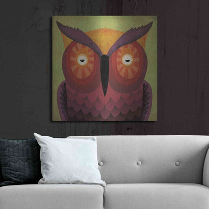 Luxe Metal Art 'Owl Wow' by Ryan Fowler, Metal Wall Art,36x36