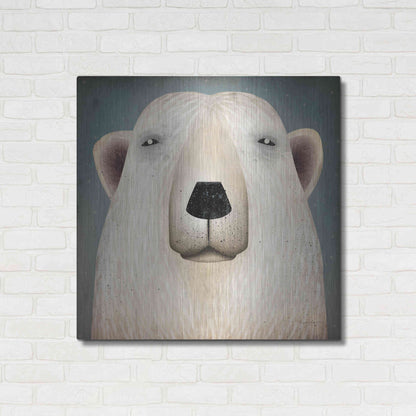 Luxe Metal Art 'Polar Bear Wow' by Ryan Fowler, Metal Wall Art,36x36