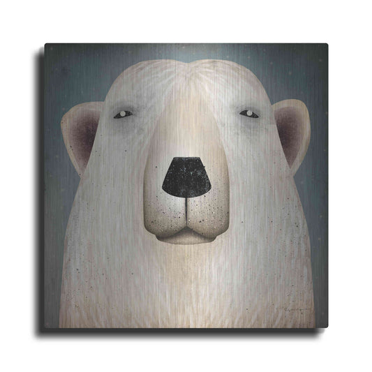 Luxe Metal Art 'Polar Bear Wow' by Ryan Fowler, Metal Wall Art