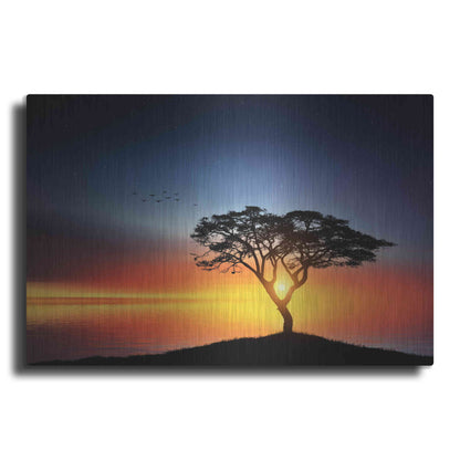 Luxe Metal Art 'The Soft Twilight', Metal Wall Art