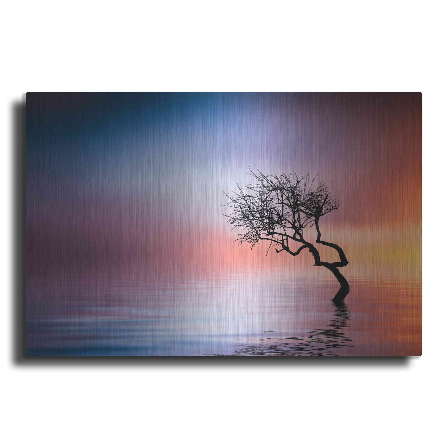 Luxe Metal Art 'Growing Reflections', Metal Wall Art