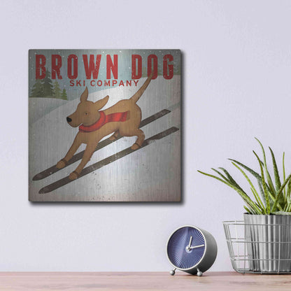 Luxe Metal Art 'Brown Dog Ski Co' by Ryan Fowler, Metal Wall Art,12x12