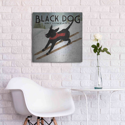 Luxe Metal Art 'Black Dog Ski' by Ryan Fowler, Metal Wall Art,24x24