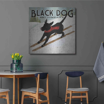 Luxe Metal Art 'Black Dog Ski' by Ryan Fowler, Metal Wall Art,36x36