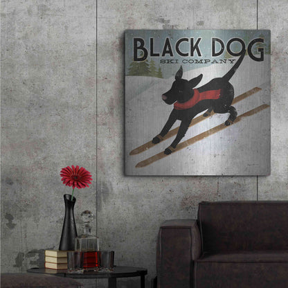 Luxe Metal Art 'Black Dog Ski' by Ryan Fowler, Metal Wall Art,36x36