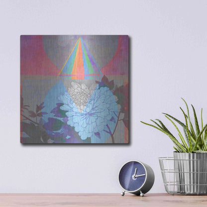 Luxe Metal Art 'High Frequency Nature' by Elena Ray, Metal Wall Art,12x12