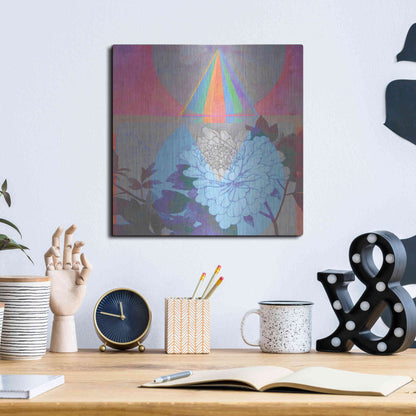 Luxe Metal Art 'High Frequency Nature' by Elena Ray, Metal Wall Art,12x12