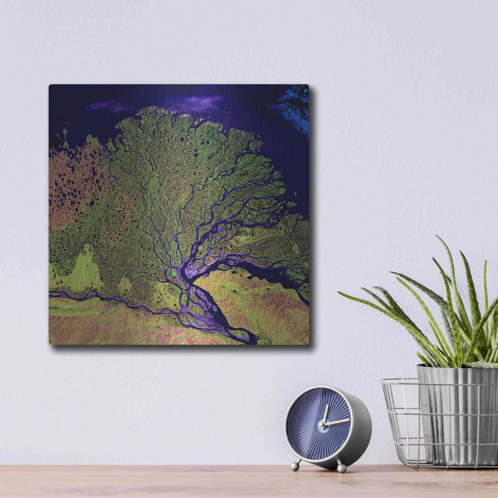 Luxe Metal Art 'Earth As Art: Lena Delta' Metal Wall Art,12x12
