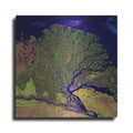 Luxe Metal Art 'Earth As Art: Lena Delta' Metal Wall Art