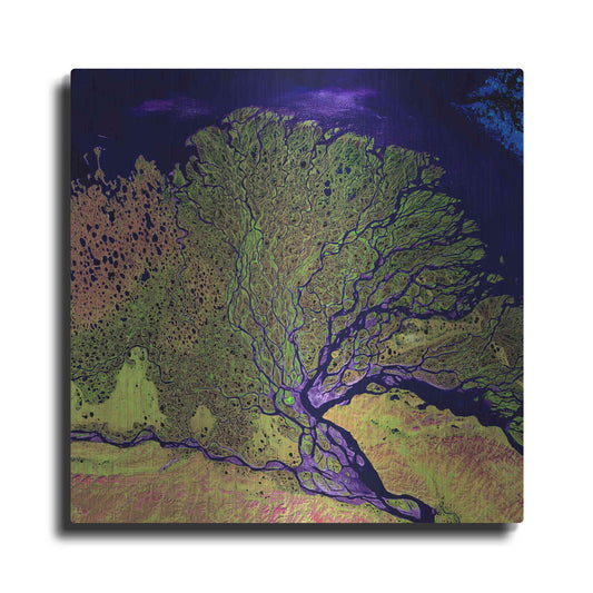 Luxe Metal Art 'Earth As Art: Lena Delta' Metal Wall Art