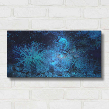 Luxe Metal Art 'Anemone Jungle' by Epic Portfolio, Metal Wall Art,24x12