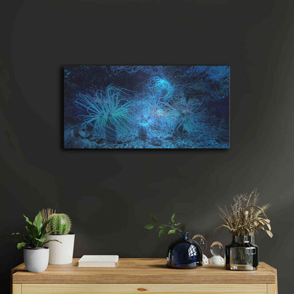 Luxe Metal Art 'Anemone Jungle' by Epic Portfolio, Metal Wall Art,24x12