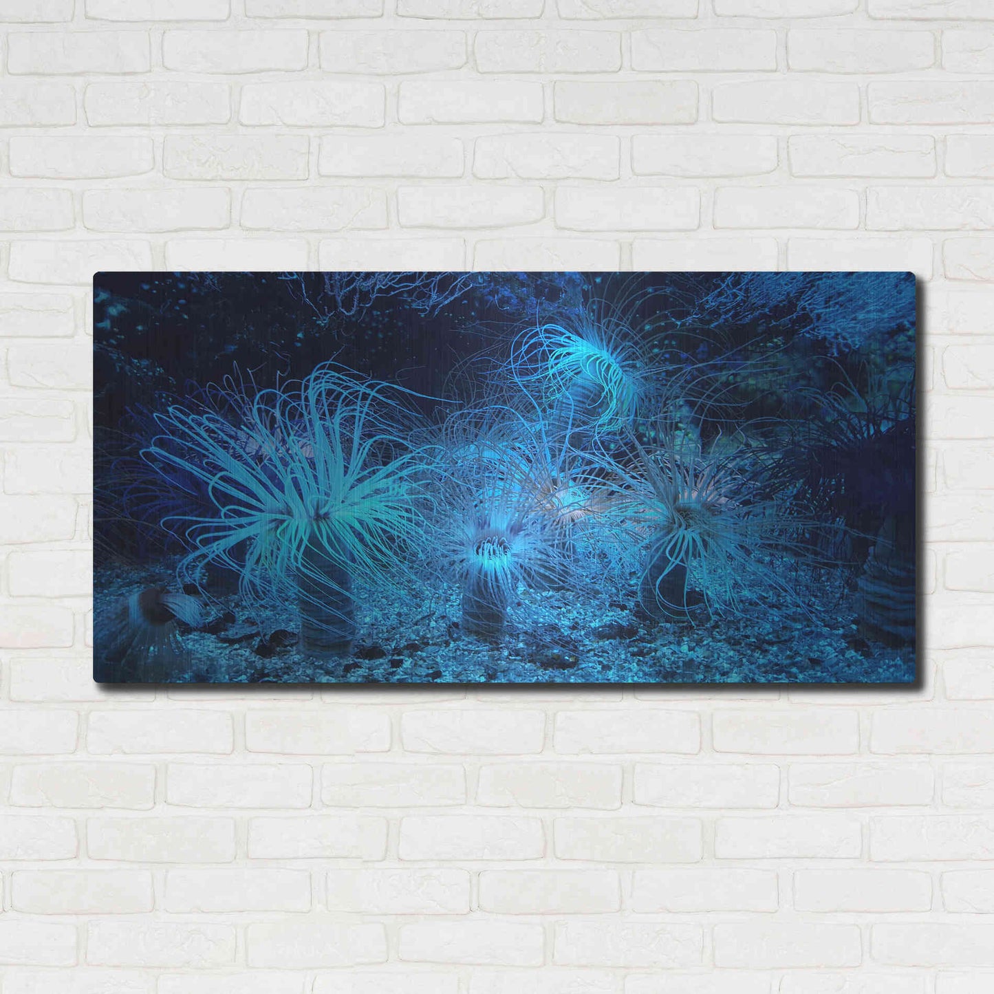 Luxe Metal Art 'Anemone Jungle' by Epic Portfolio, Metal Wall Art,48x24