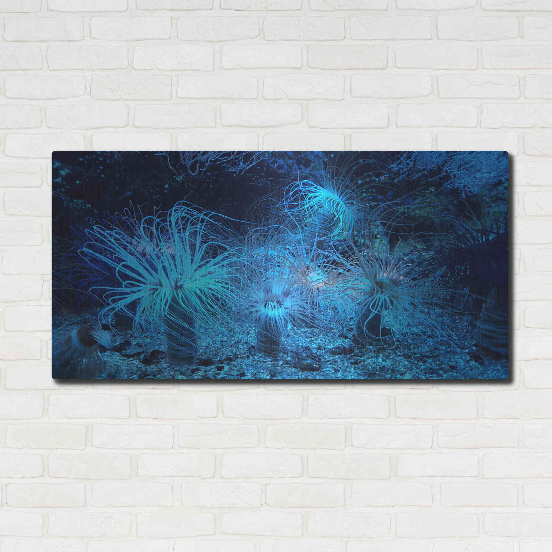 Luxe Metal Art 'Anemone Jungle' by Epic Portfolio, Metal Wall Art,48x24