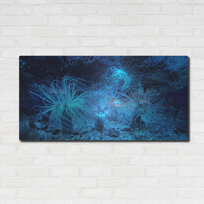 Luxe Metal Art 'Anemone Jungle' by Epic Portfolio, Metal Wall Art,48x24