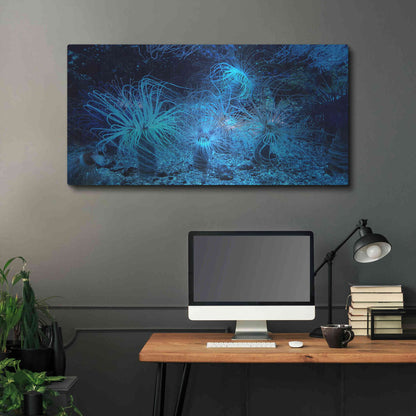 Luxe Metal Art 'Anemone Jungle' by Epic Portfolio, Metal Wall Art,48x24