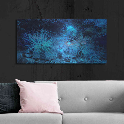 Luxe Metal Art 'Anemone Jungle' by Epic Portfolio, Metal Wall Art,48x24