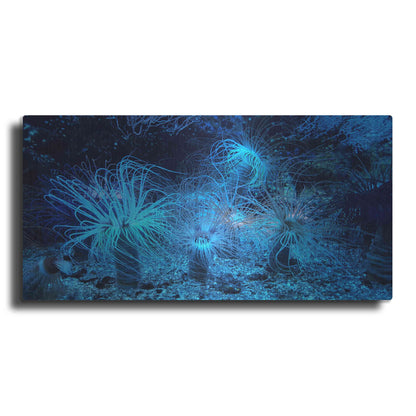 Luxe Metal Art 'Anemone Jungle' by Epic Portfolio, Metal Wall Art