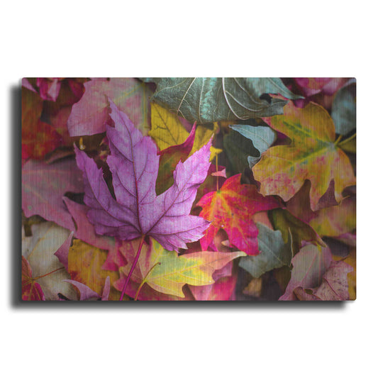 Luxe Metal Art 'Beautiful Fall' by Epic Portfolio, Metal Wall Art