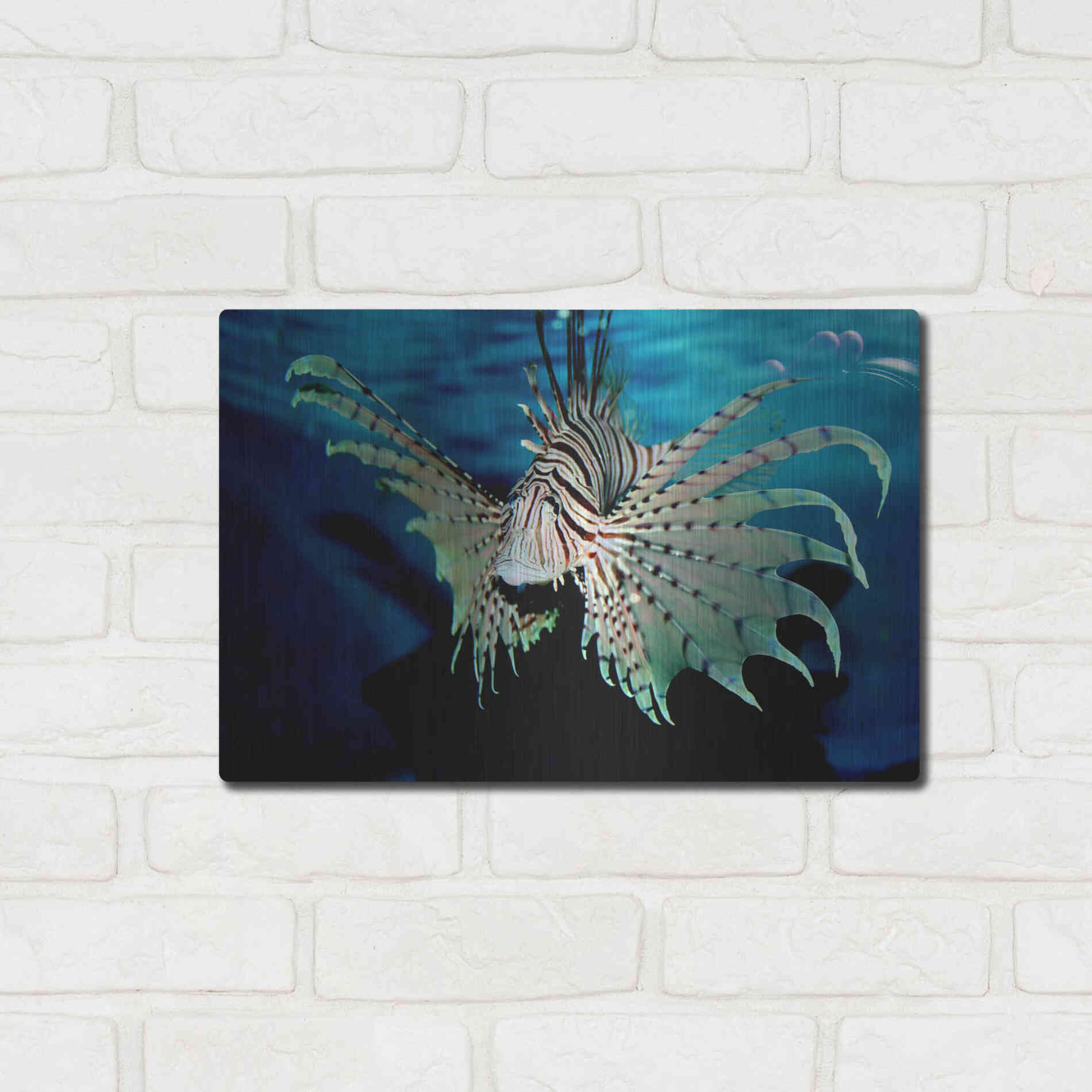 Luxe Metal Art 'BOO' by Epic Portfolio, Metal Wall Art,16x12