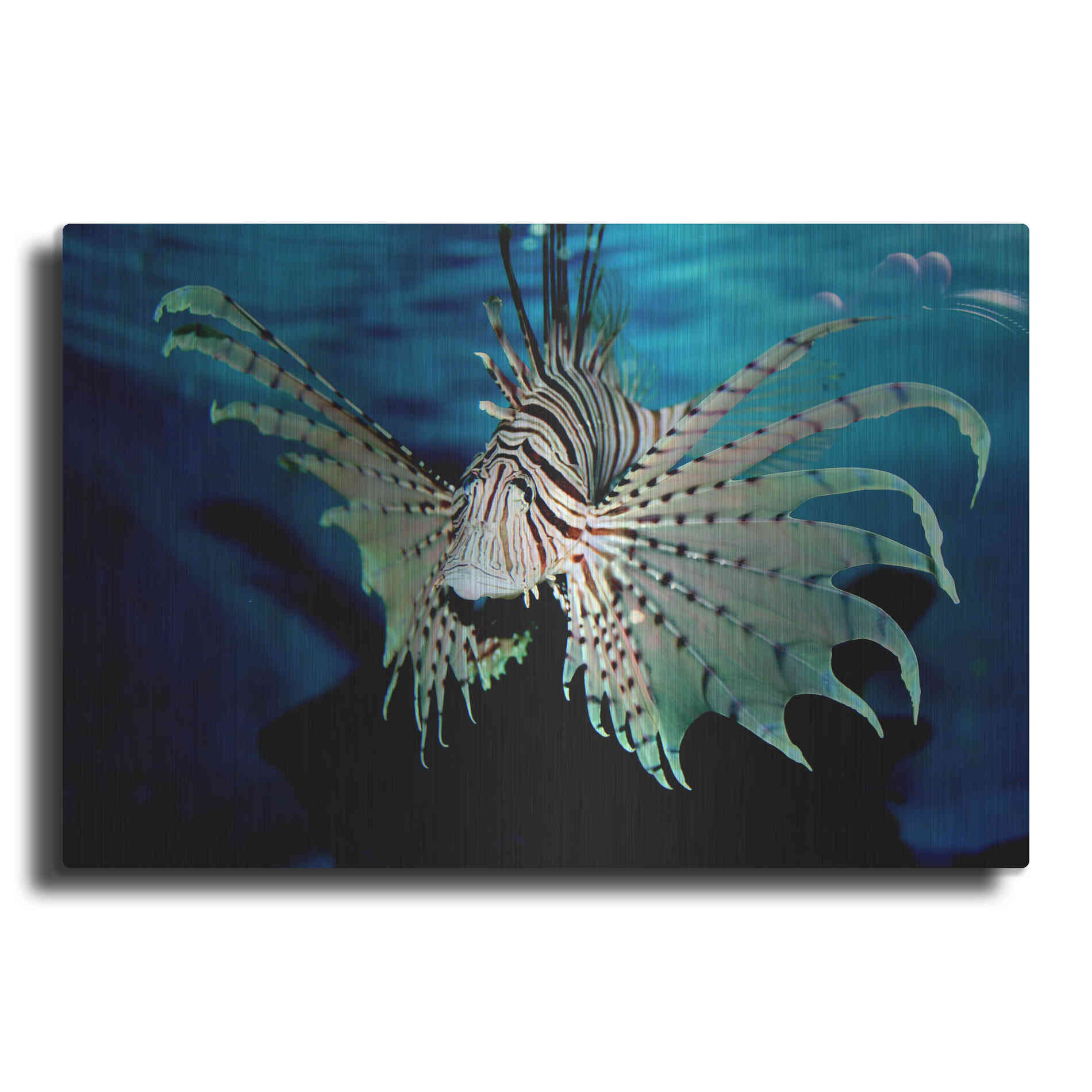 Luxe Metal Art 'BOO' by Epic Portfolio, Metal Wall Art