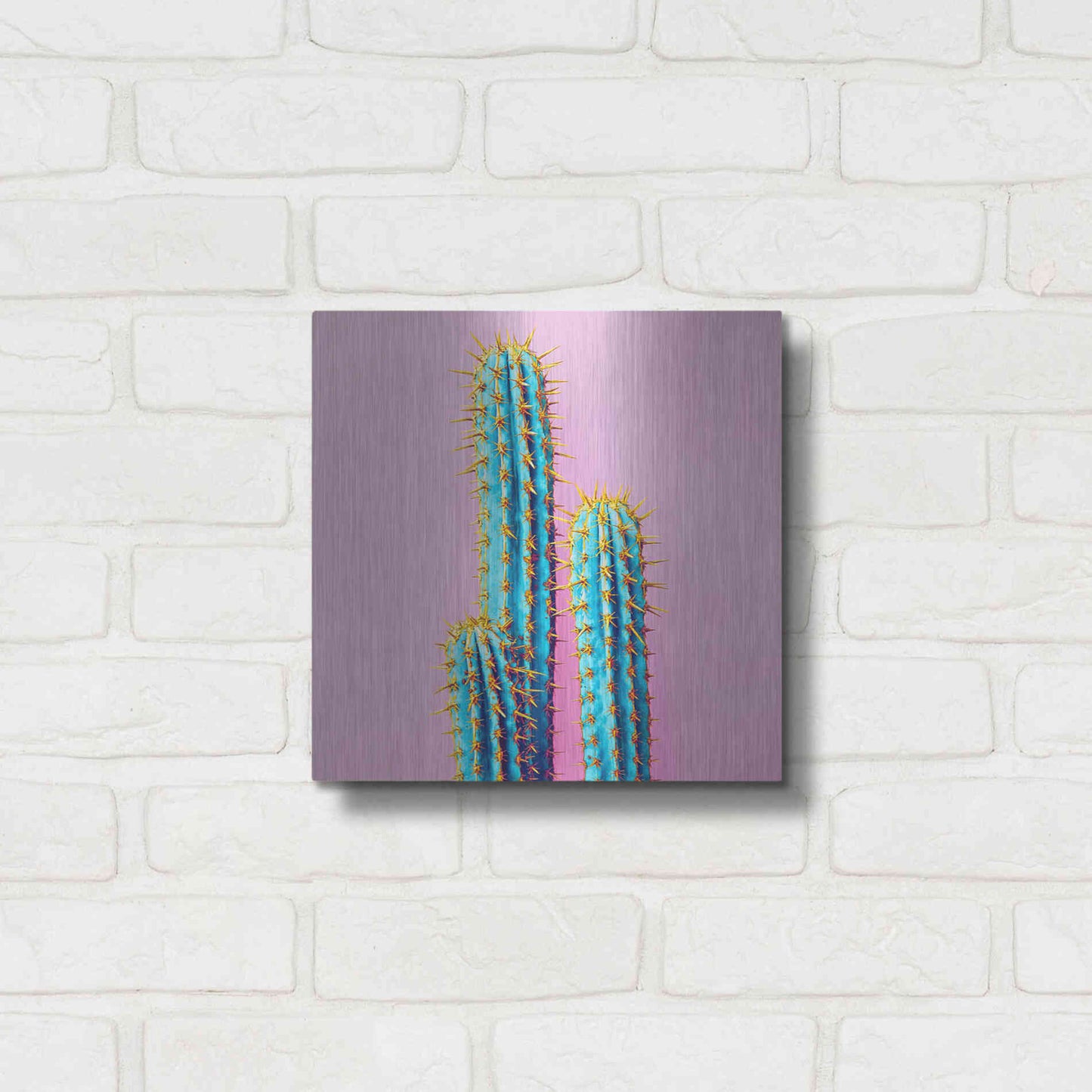 Luxe Metal Art 'Bubble Gum Cactus' by Epic Portfolio, Metal Wall Art,12x12