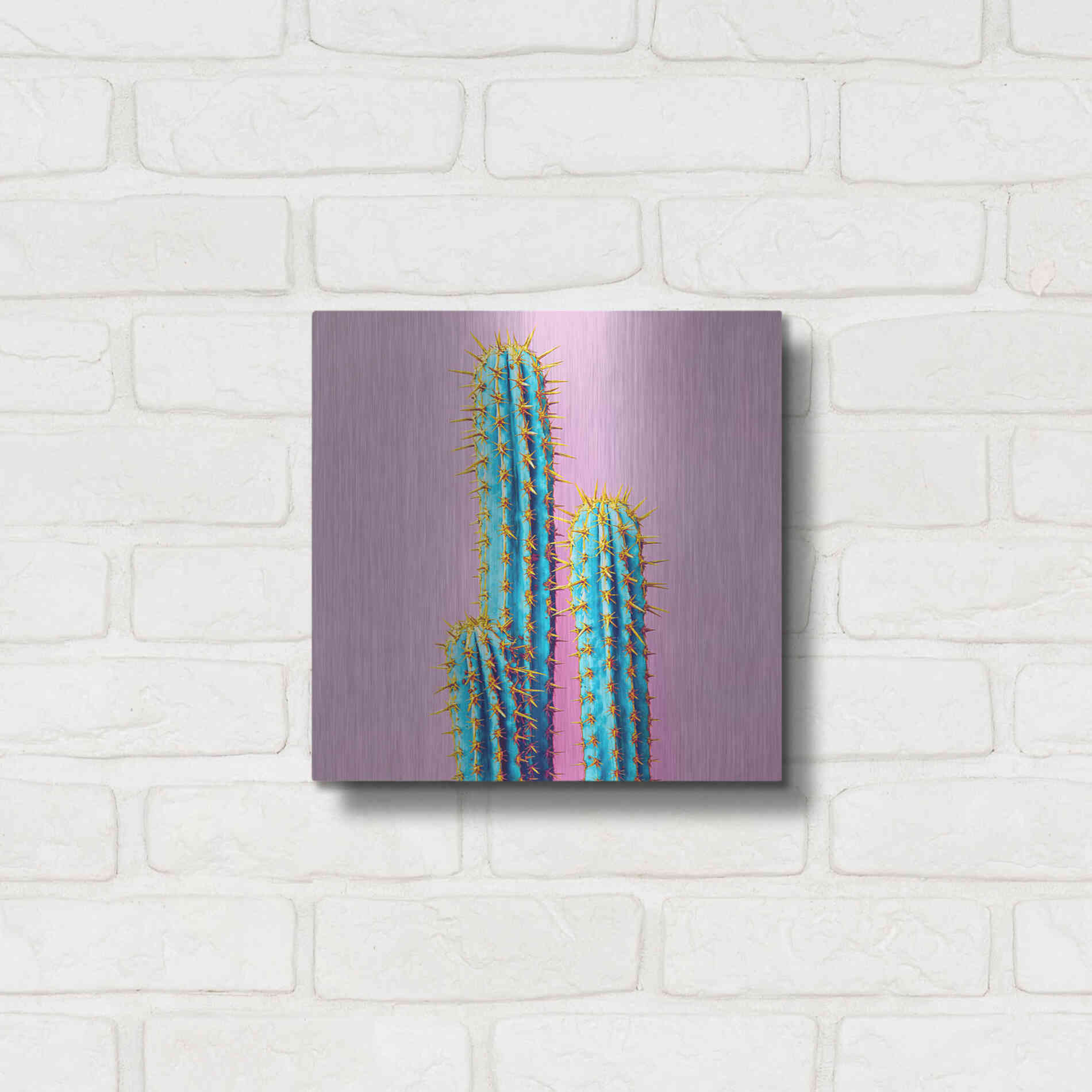 Luxe Metal Art 'Bubble Gum Cactus' by Epic Portfolio, Metal Wall Art,12x12