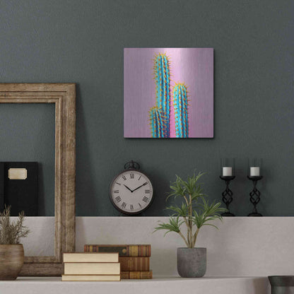 Luxe Metal Art 'Bubble Gum Cactus' by Epic Portfolio, Metal Wall Art,12x12