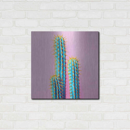 Luxe Metal Art 'Bubble Gum Cactus' by Epic Portfolio, Metal Wall Art,24x24