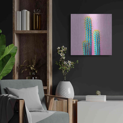 Luxe Metal Art 'Bubble Gum Cactus' by Epic Portfolio, Metal Wall Art,24x24