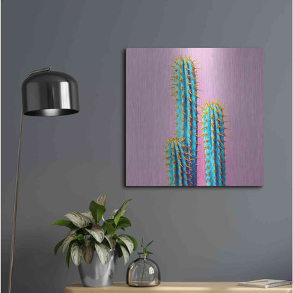 Luxe Metal Art 'Bubble Gum Cactus' by Epic Portfolio, Metal Wall Art,24x24